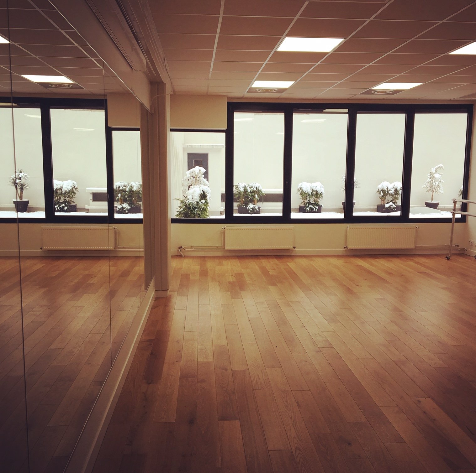 Dojo